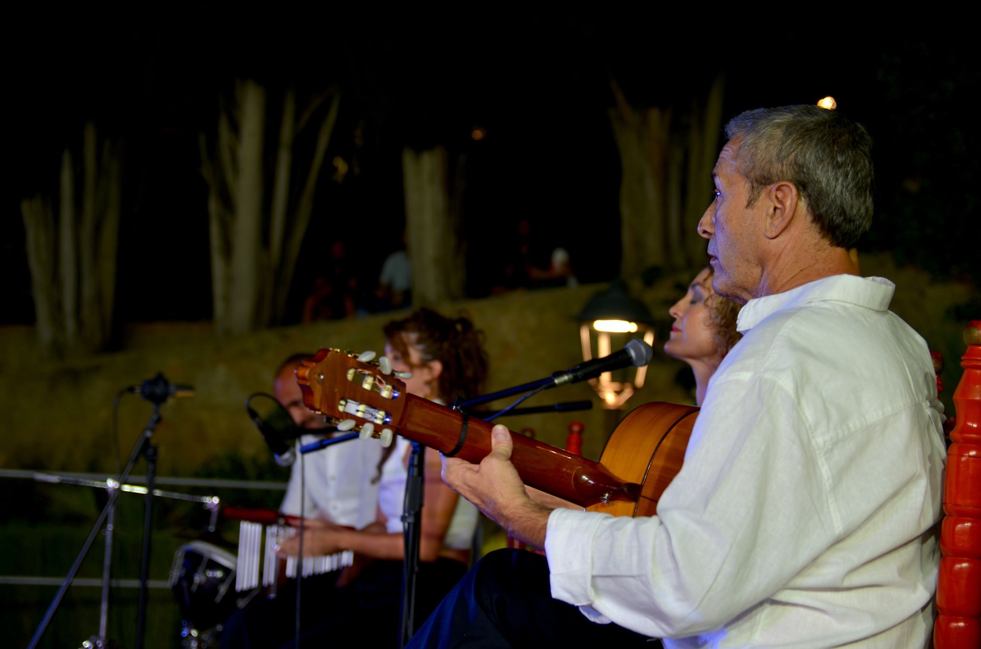 Festival Flamenco de Huétor Vega: tradición y futuro