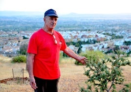 Pepe Víbora, con las primeras encinas plantadas en el Camino de los Neveros.