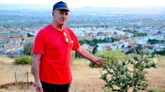 Operación Encina lanza una campaña de 'crowdfunding' para reforestar el Camino de los Neveros
