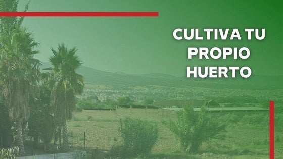 El Ayuntamiento de Huétor Vega ofrece la posibilidad de alquilar 34 huertos urbanos