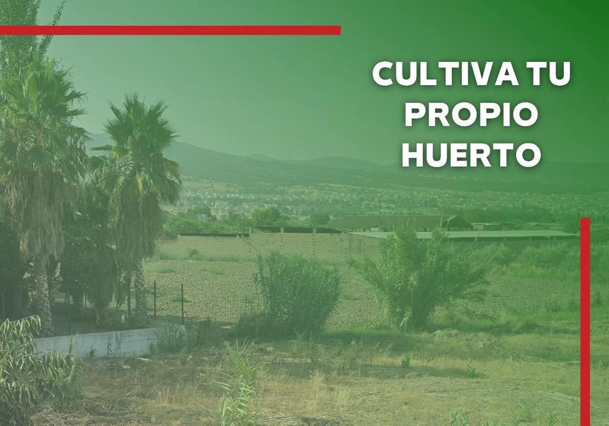 Cartel del Ayuntamiento de Huétor Vega.