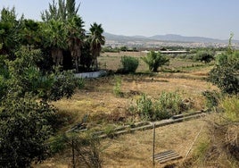 Los huertos sociales ecológicos se distribuirán en el paraje del Pago del Zute.