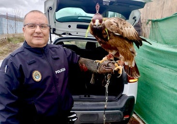 El agente Ricardo Calvo, con el ave recuperada.
