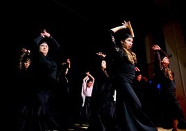 Espectáculo 'Siente la Pasión', en Huétor Vega en 2025.