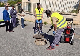 El Ayuntamiento ha puesto hoy en marcha la campaña.