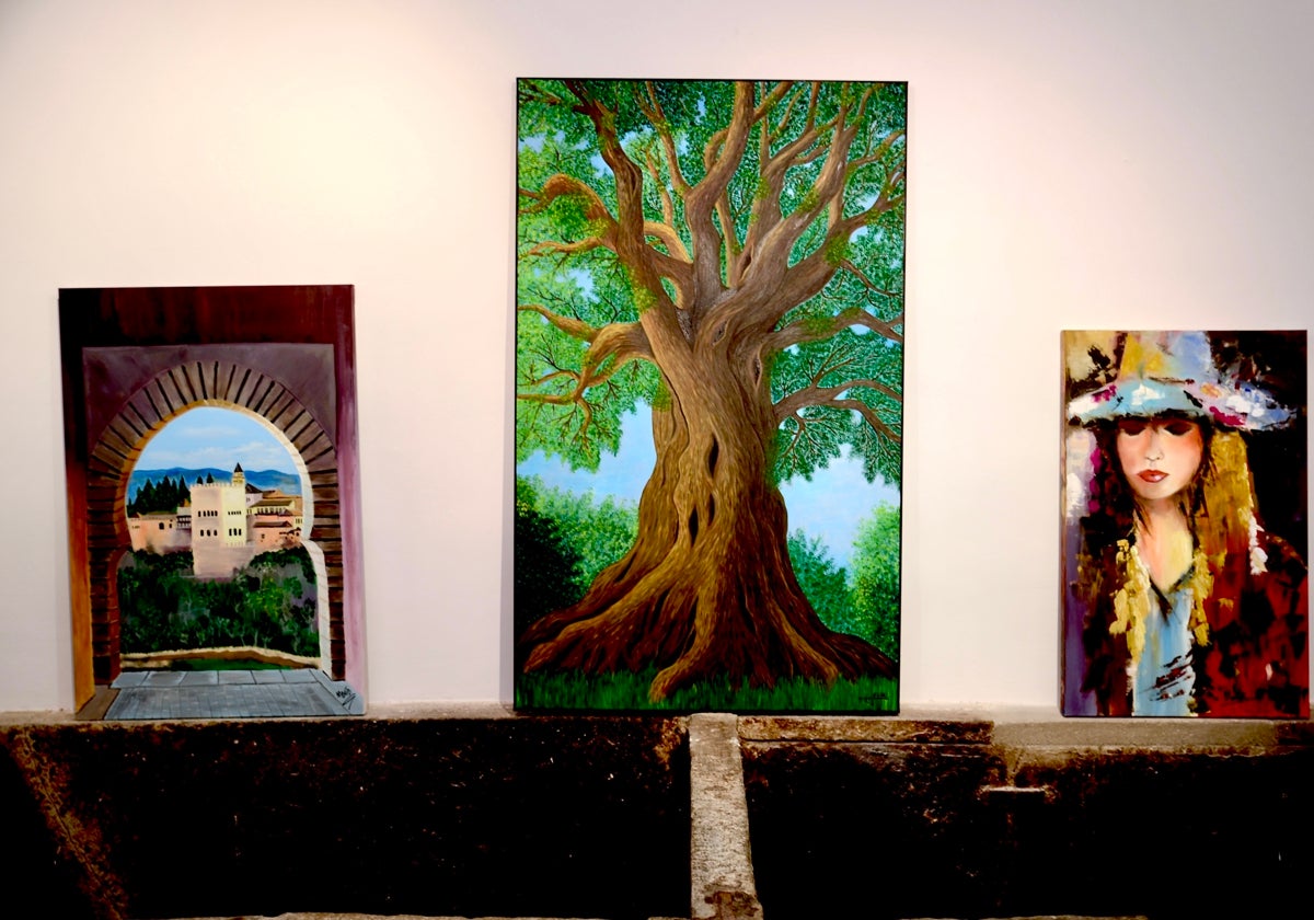 Imagen de Galeria 