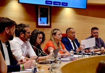 Intervención del alcalde de Huétor Vega, Mario del Paso, en el pleno del pasado mes de mayo.