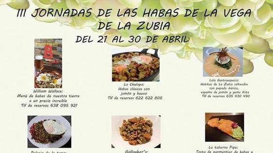 Las 'Jornadas de las Habas de la Vega de La Zubia' llegan a su tramo final