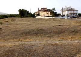 El Ayuntamiento de La Zubia ha realizado el mayor plan de desbroce de toda su historia.