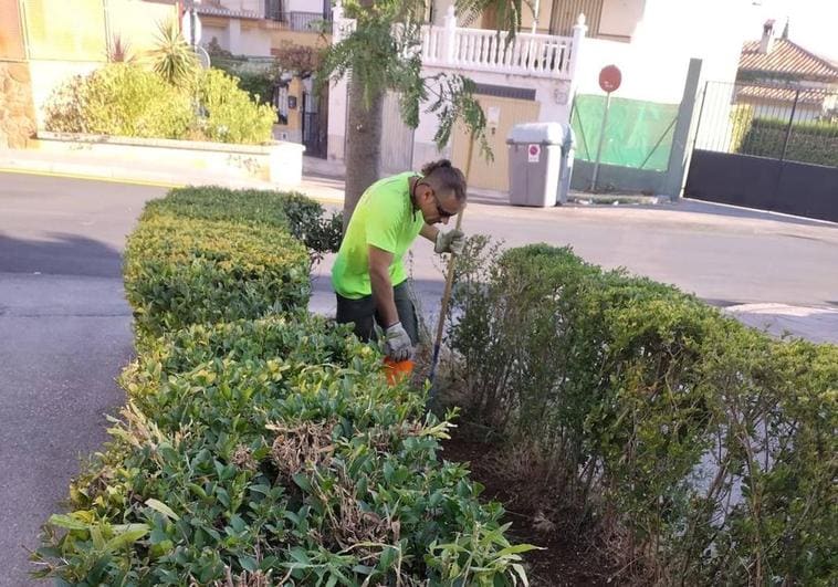 La Zubia contrata a doce personas desempleadas mayores de 45 años para jardinería