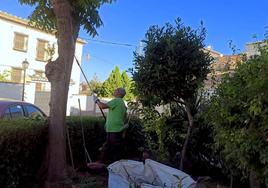 La alcaldesa de La Zubia anima al PP «a trabajar más y usar menos el Facebook»