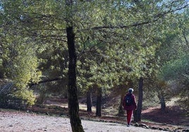 La Zubia organiza una nueva edición de sus 'baños de bosque'