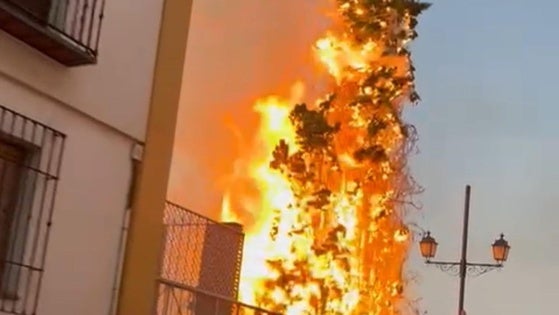 La Zubia pide ayuda para identificar a los autores de una oleada de incendios