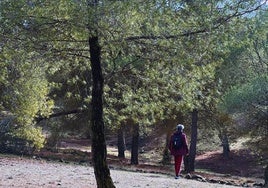 La concejalía de Salud organiza esta iniciativa aprovechando la proximidad del Parque Natural de Sierra Nevada.