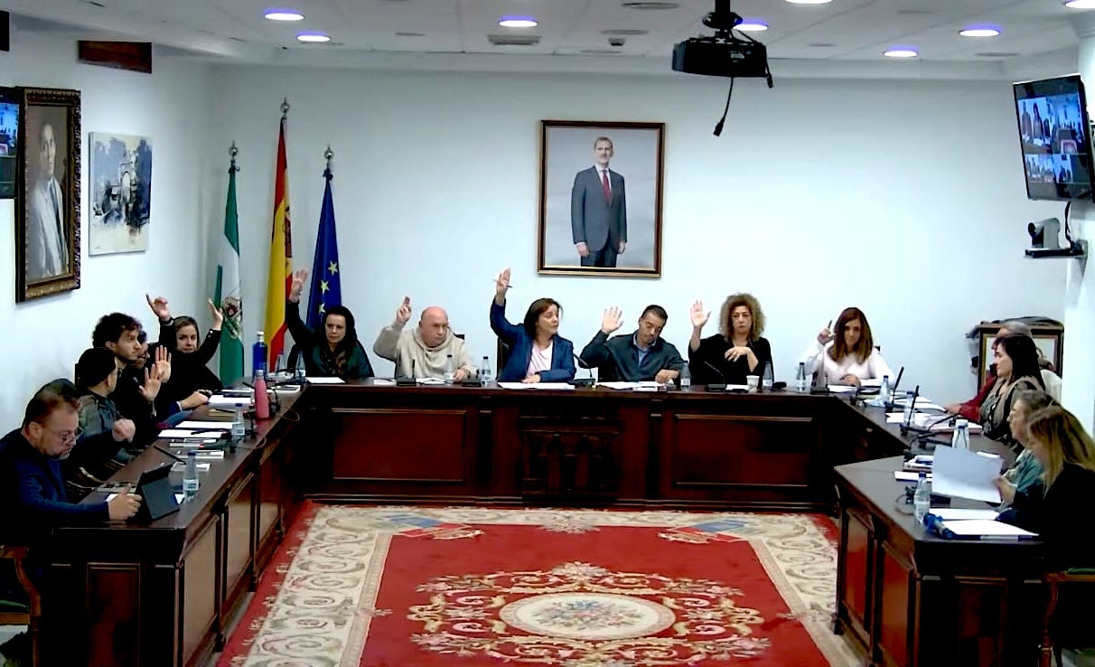 Pleno del Ayuntamiento de La Zubia.