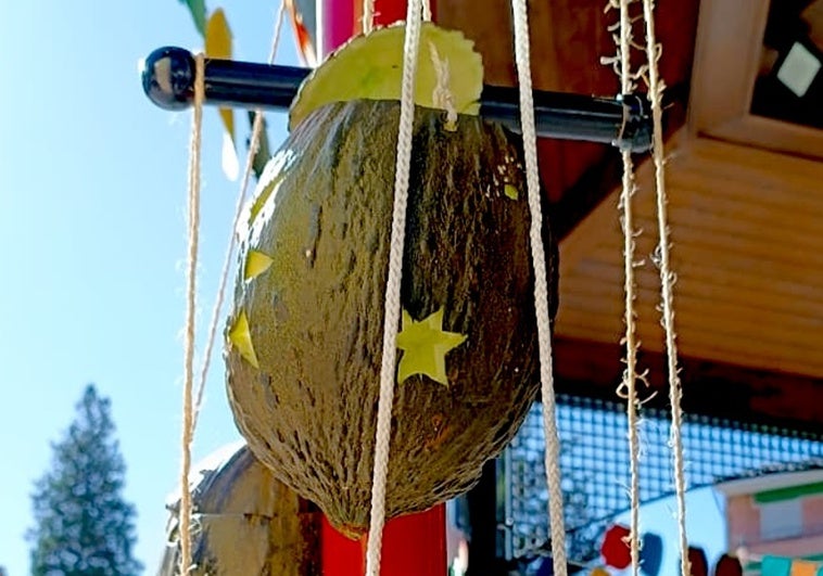 La Zubia recupera la tradición de los farolillos de melón en su nueva Fiesta de Otoño