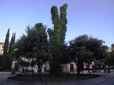 La Zubia convoca un certamen para poner letra a su himno