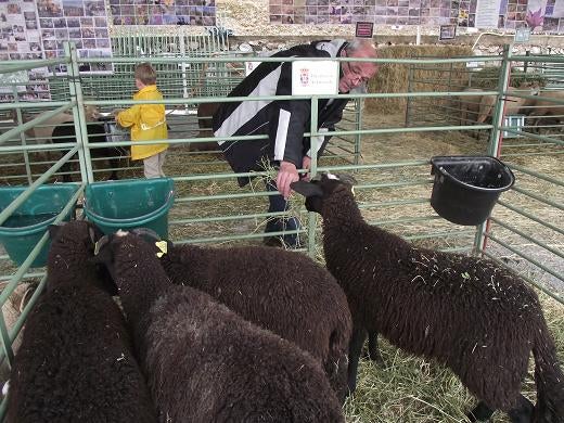Éxito de ventas en la I Feria Agroalimentaria de La Zubia