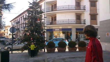 La Zubia celebra la Navidad