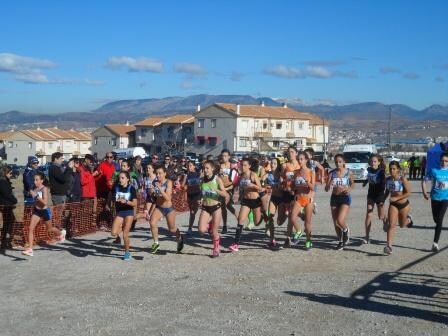 500 atletas corren la XXIII Cross de Navidad Villa de La Zubia