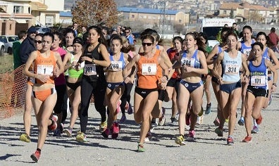 Exito del XXIV Cross de Navidad Villa de la Zubia
