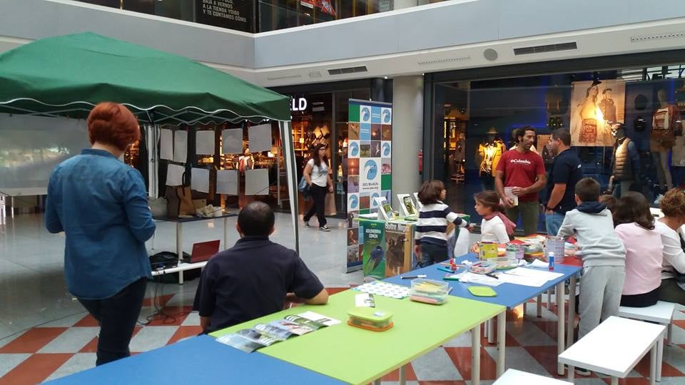 Exposiciones, juegos y stands formativos sobre las aves para celebrar su día