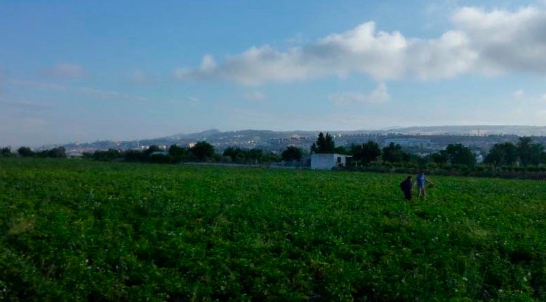 La Oficina Municipal de Agroecología velará por el patrimonio natural y los recursos productivos locales
