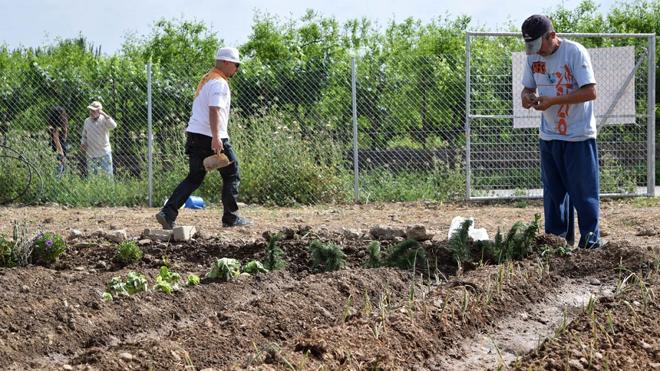 El alumnado de la Escuela de Agroecología de La Zubia comienza sus prácticas