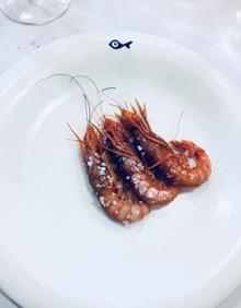 Imagen secundaria 2 - Imágenes de la anterior edición de la cata de vinos a ciegas.