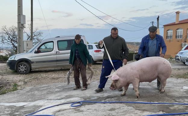 Imagen principal - Distintas imágenes de la matanza.