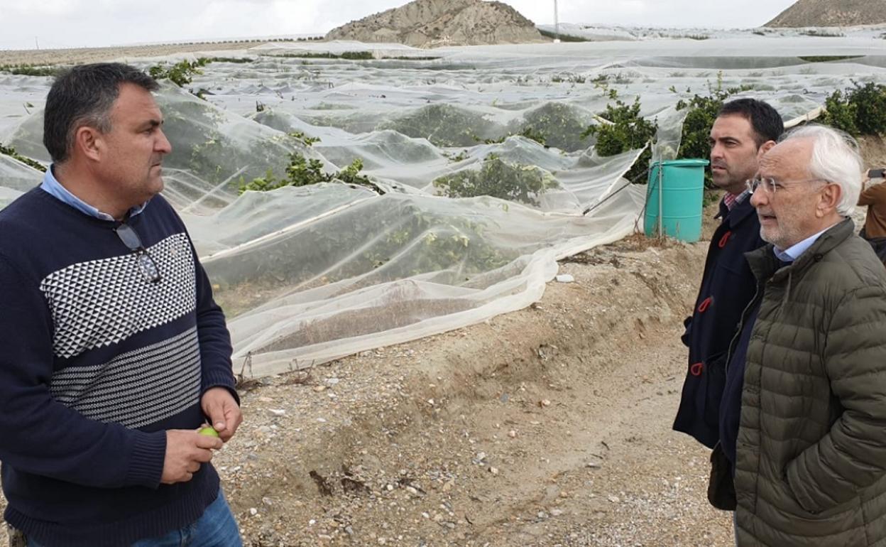 Subdelegado y alcalde visitan una de las plantaciones afectadas. 