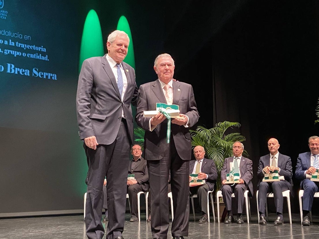 En total se han entregado diez reconocimientos con motivo del Día de Andalucía