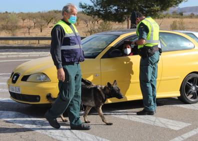 Imagen secundaria 1 - Crisis del coronavirus en Almería | La Guardia Civil da el alto al paso de la Covid-19