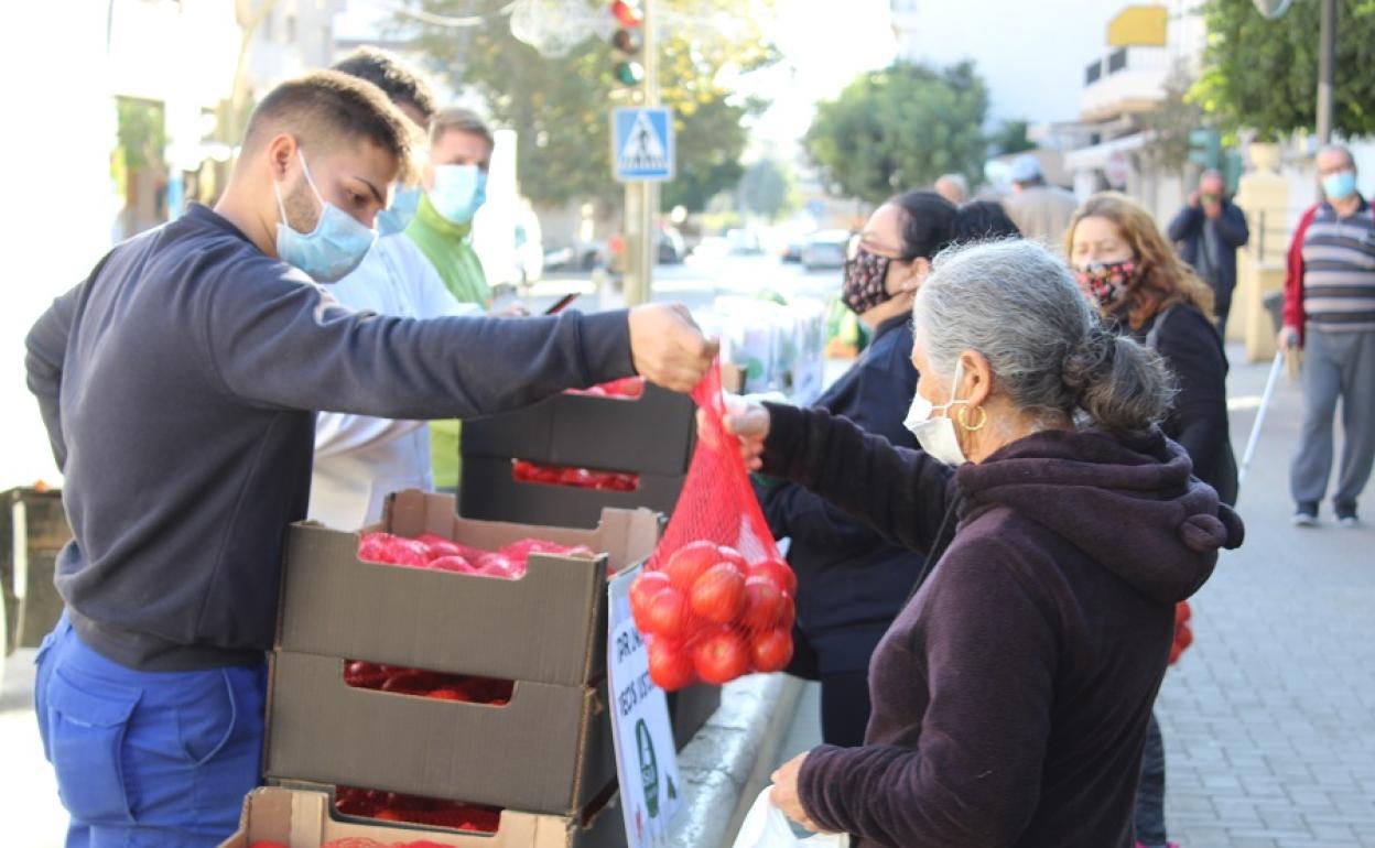 Un trabajador reparte tomates en Cuevas del Almanzora. 