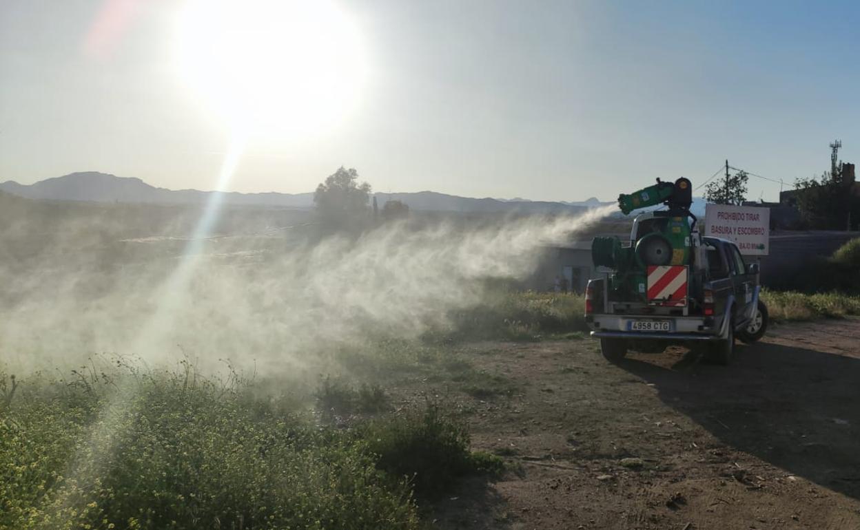 Provincia de Almería | Huércal-Overa | El Ayuntamiento inicia la campaña de control de mosquitos, pulgas y otros insectos