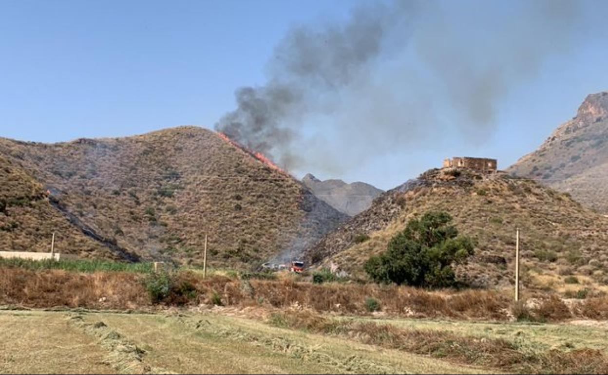 Lugar donde se ha declarado el fuego, en una colina del término municipal mojaquero. 