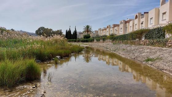 El PSOE pide que acabe con la charca junto a las Bunganvillas