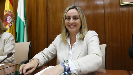 Carazo: «Las obras de la variante de Mojácar van cumpliendo los plazos»