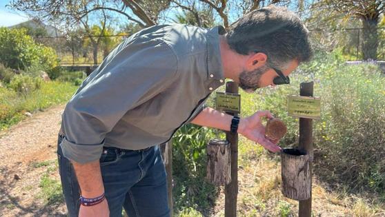 El Albardinal, el cofre de la flora protegida del Cabo de Gata