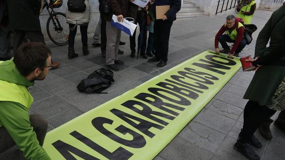 TSJA abre pieza separada para recusar a una de las magistradas que decide sobre Algarrobico