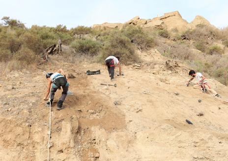 Imagen secundaria 1 - Vera reanuda la segunda campaña de excavaciones en Bayra, en el Cerro del Espíritu Santo