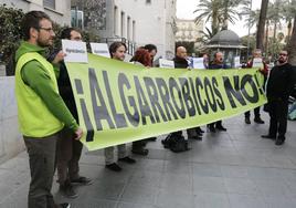 Ecologistas se alinean con Junta y piden a TSJA que anule acuerdos de Carboneras sobre Algarrobico