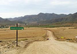 Pacma rechaza que se autorice un hotel en la playa de los Genoveses