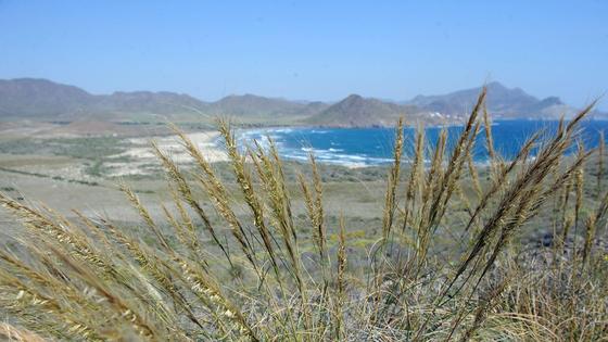 El acceso a varias playas de Cabo de Gata se restringirá del 21 de junio al 22 de septiembre