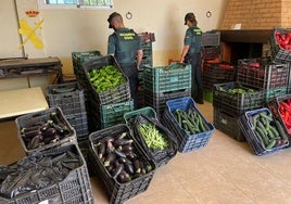 Recuperan más de una tonelada de verduras robadas en la comarca del Almanzora