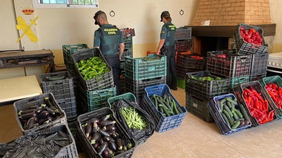 Recuperan más de una tonelada de verduras robadas en la comarca del Almanzora