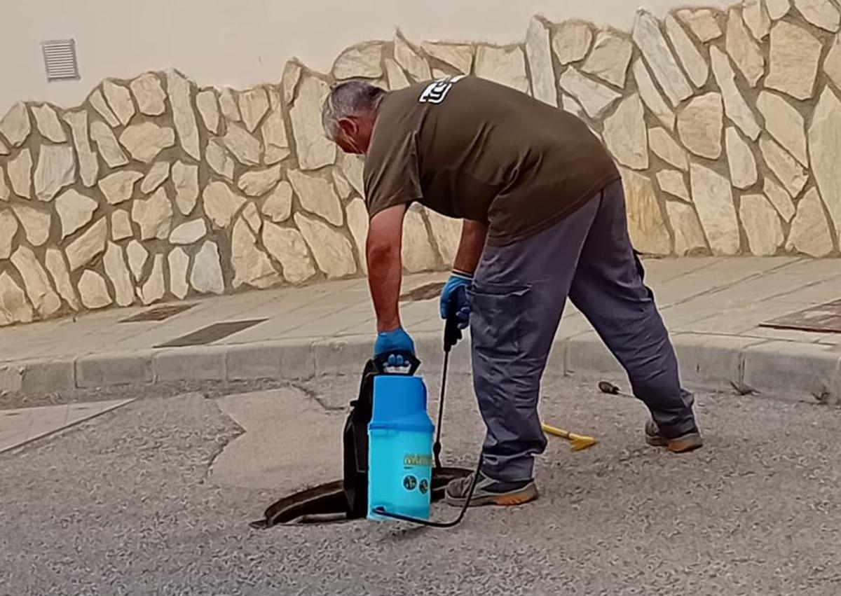 Imagen secundaria 1 - Cuevas del Almanzora realiza trabajos de prevención de plagas para evitar problemas y molestias a la ciudadanía