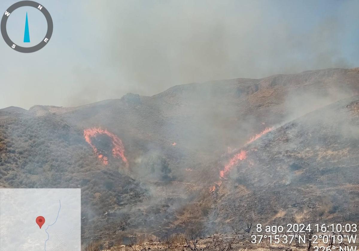 Estabilizan el incendio forestal del paraje La Loma de Antas