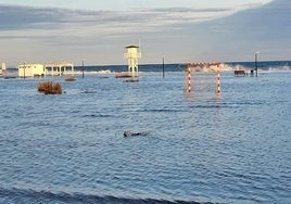 Imagen de los efectos del temporal del fin de semana en Vera.