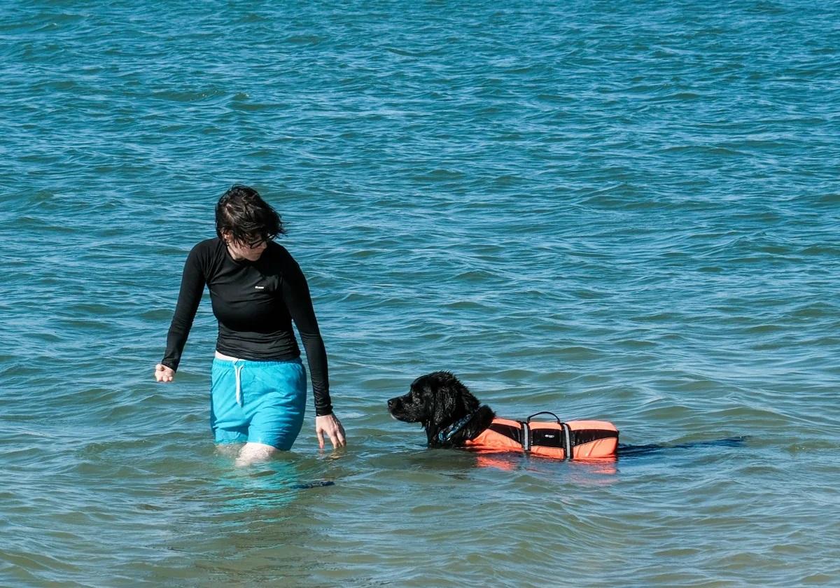 El municipio de Mojácar abrirá en 2025 su primera playa canina y se suma a las tres ya habilitadas en Almería